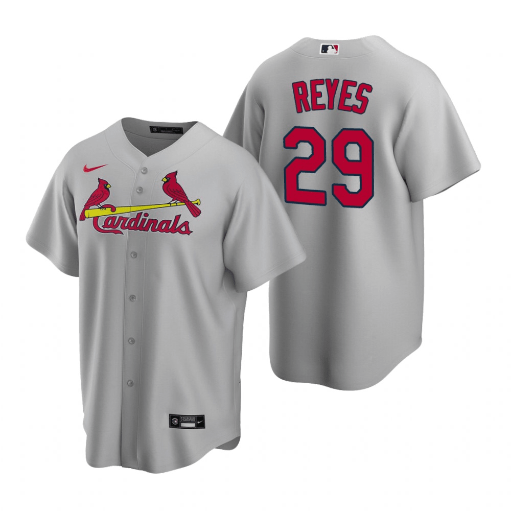 St. Lyouis Cardinals Customized Road Grey Jersey